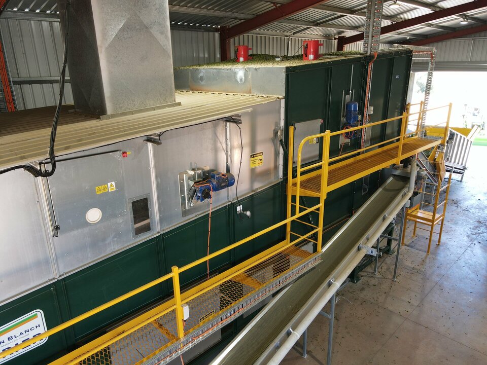 Duboisia Leaf Drying in Alvan Blanch Dryer